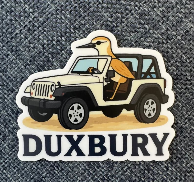 Duxbury Plover Laptop Sticker