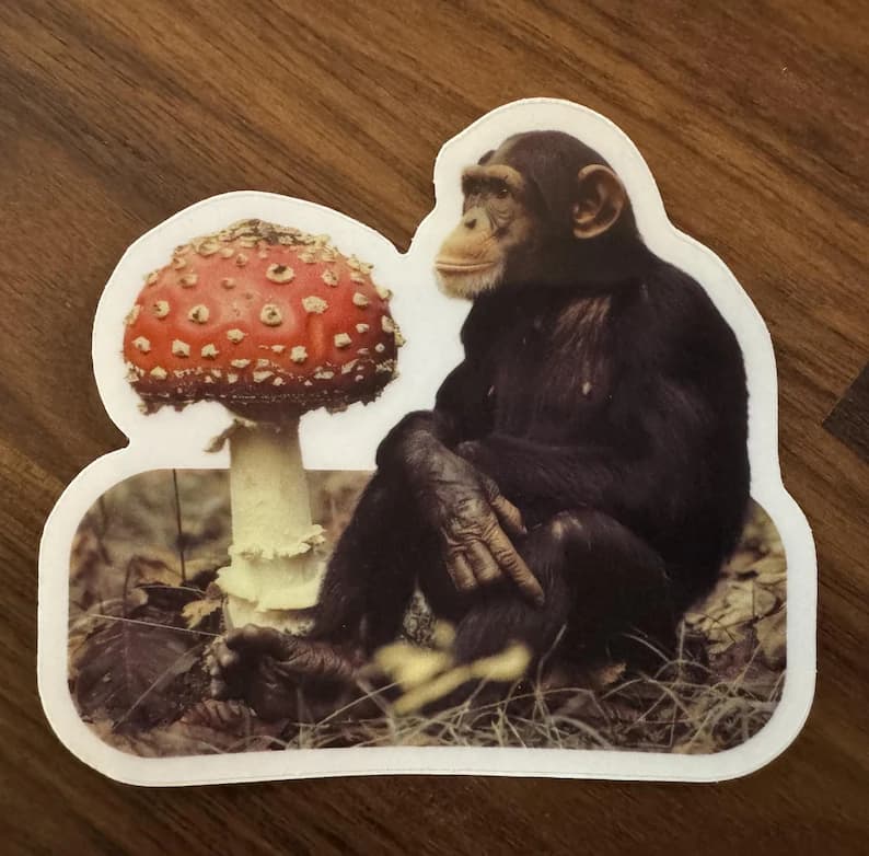 Stoned Ape Theory - Terrence McKenna inspired clear laptop sticker