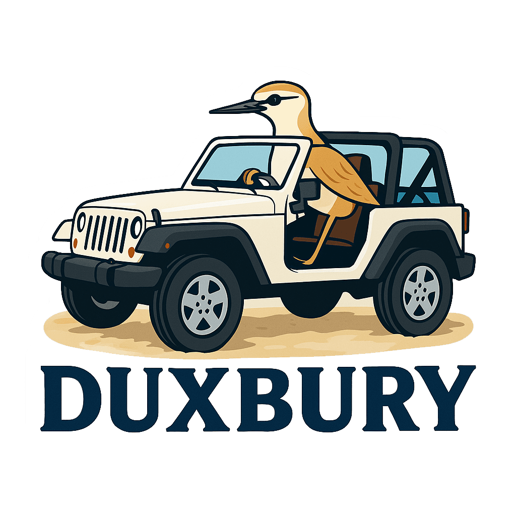 Duxbury Plover Laptop Sticker